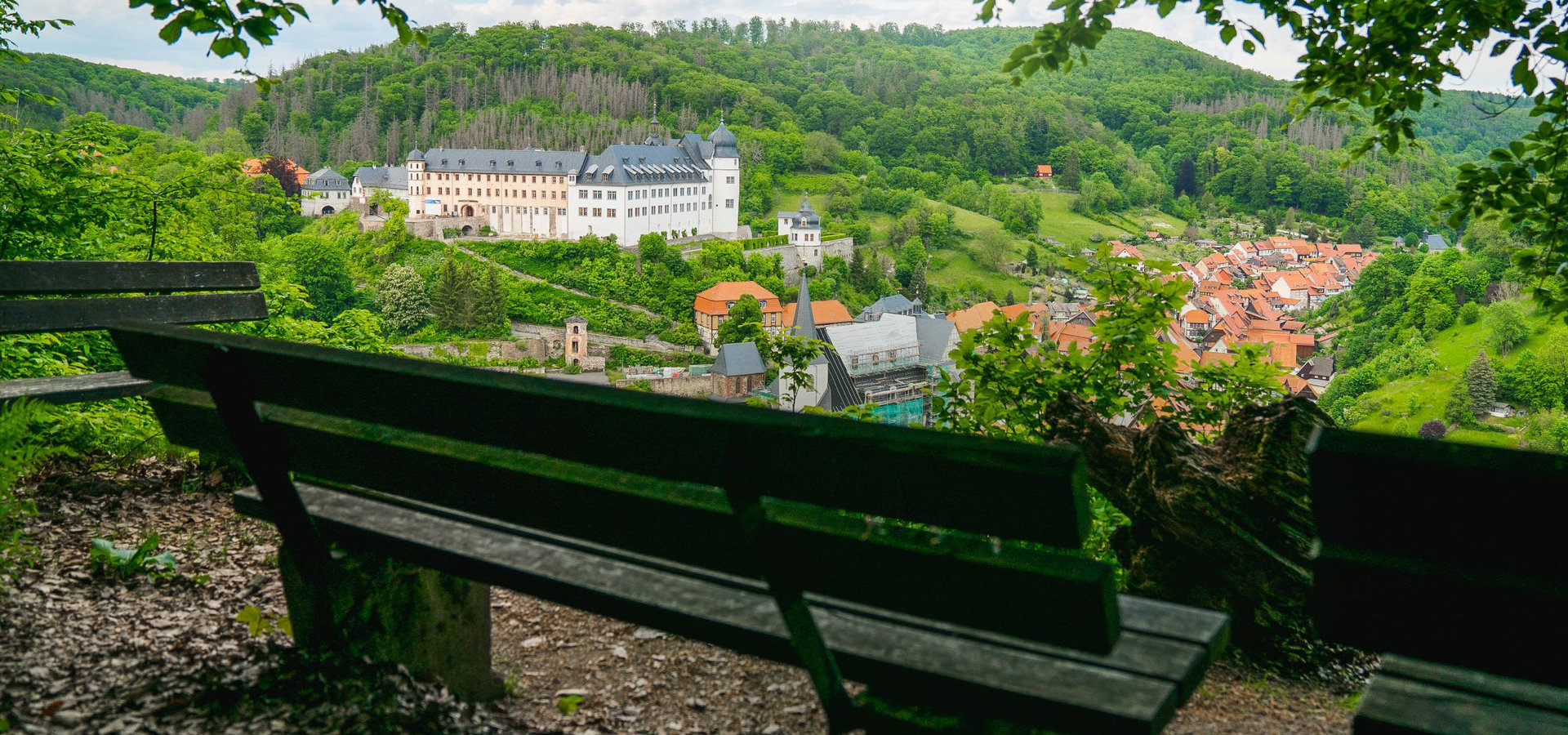 Von einer Bank aus sieht man auf das Schloss Stolberg umgeben von grüner Natur im Harz.