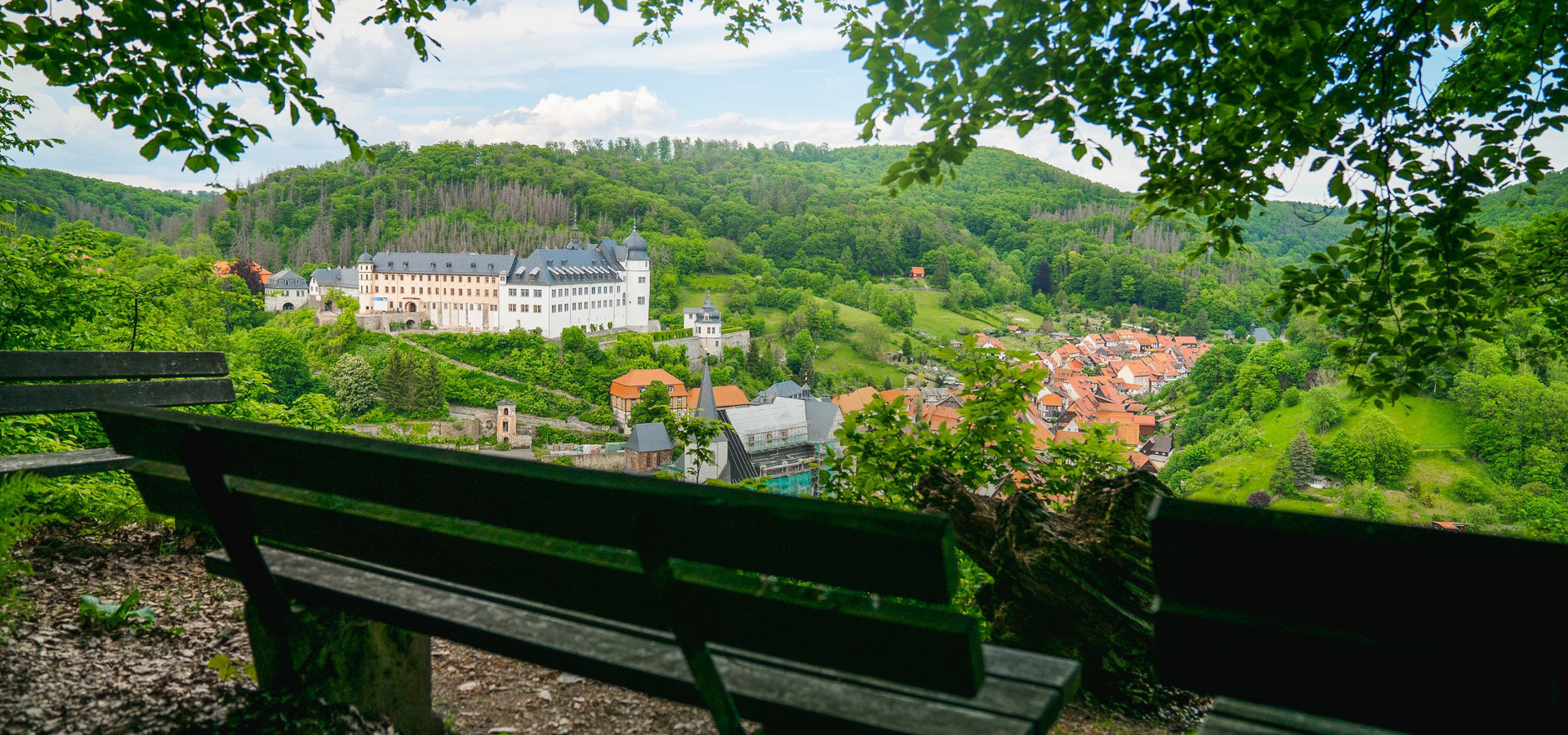 Schloss Stolberg und Umgebung Von einer Bank aus sieht man auf das Schloss Stolberg umgeben von grüner Natur im Harz.