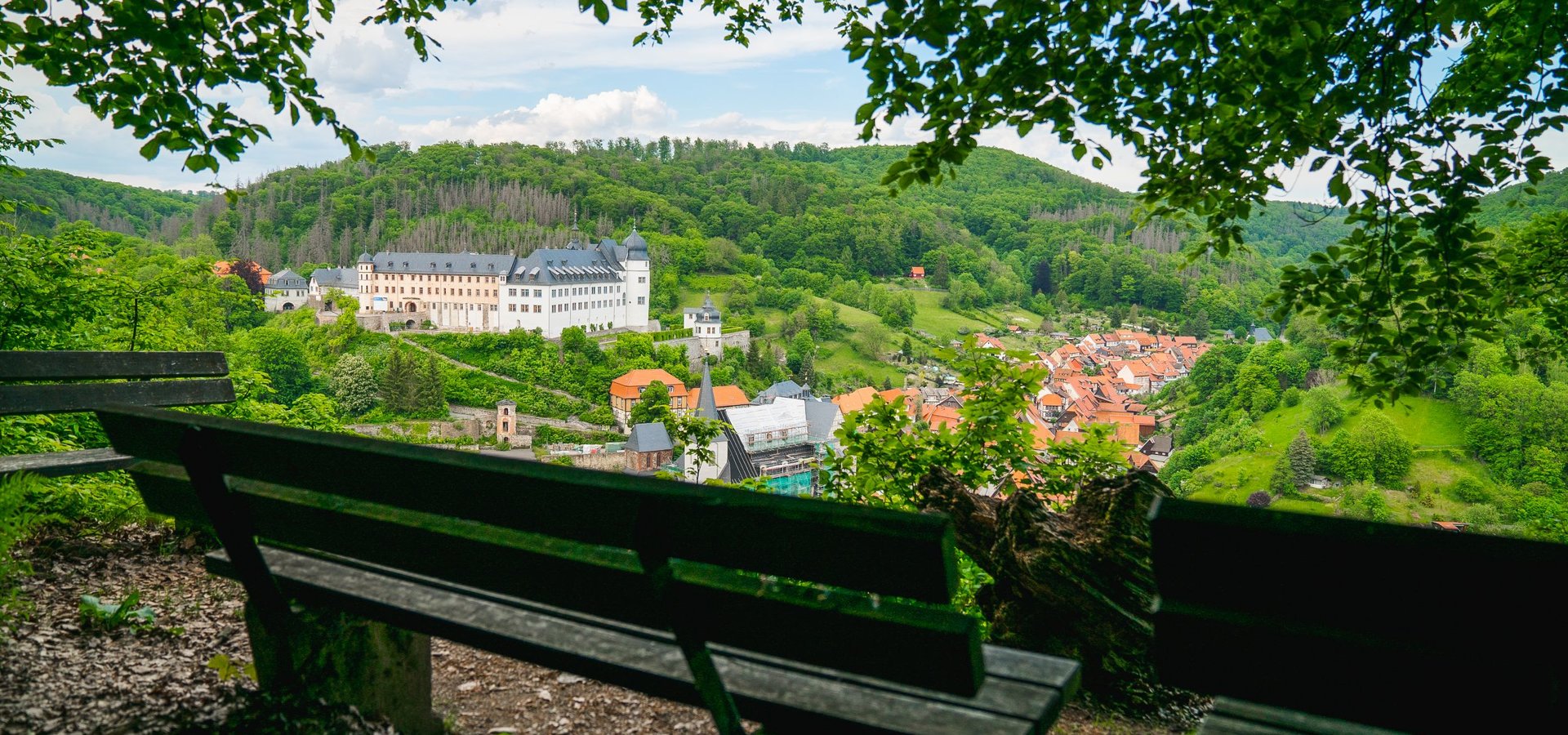 Schloss Stolberg und Umgebung Von einer Bank aus sieht man auf das Schloss Stolberg umgeben von grüner Natur im Harz.